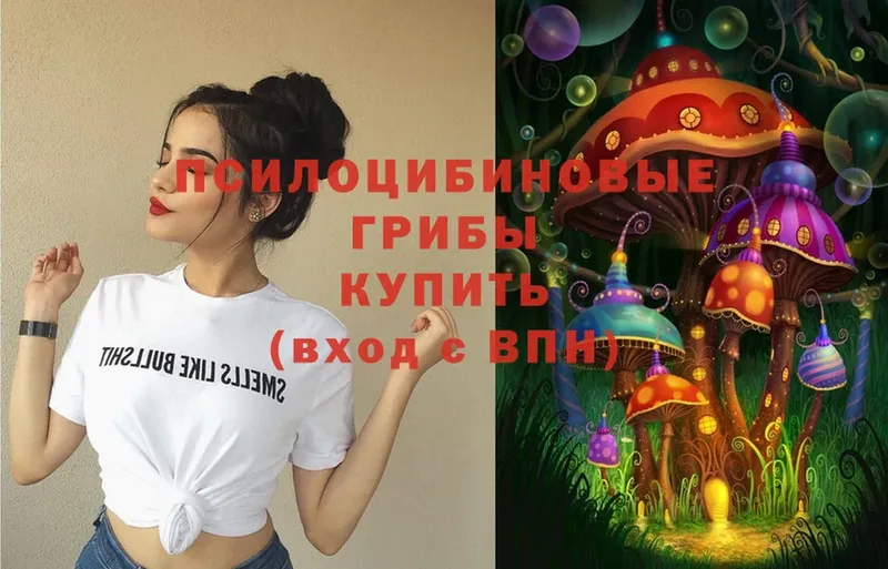 Галлюциногенные грибы Cubensis  закладки  Туринск 